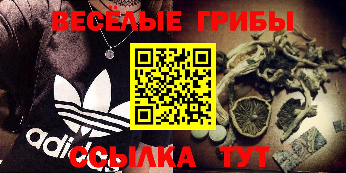 Псилоцибиновые грибы ЛСД Серпухов